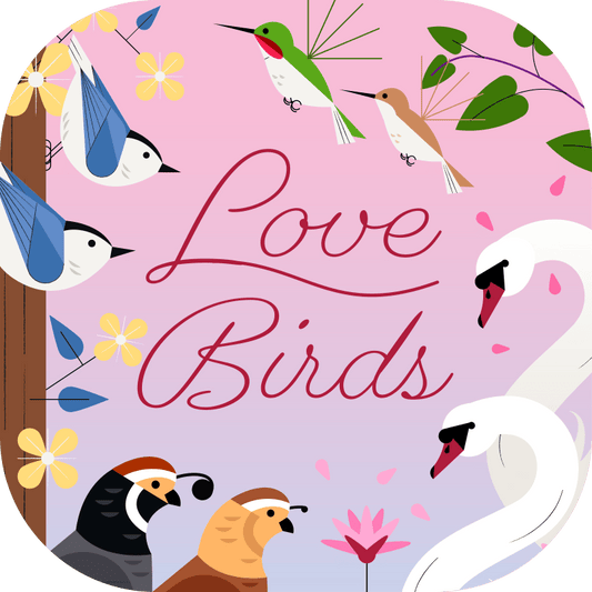 Love Birds - Cover Image