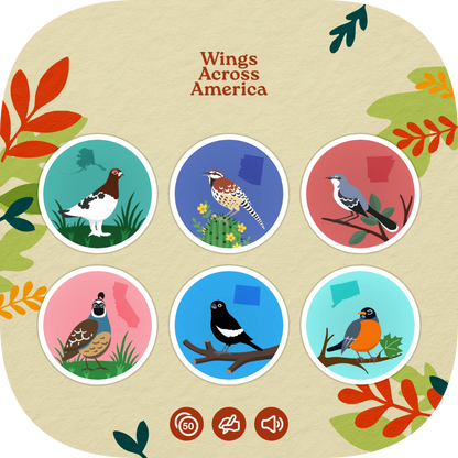 Wings Across America - Generated Thumbnail