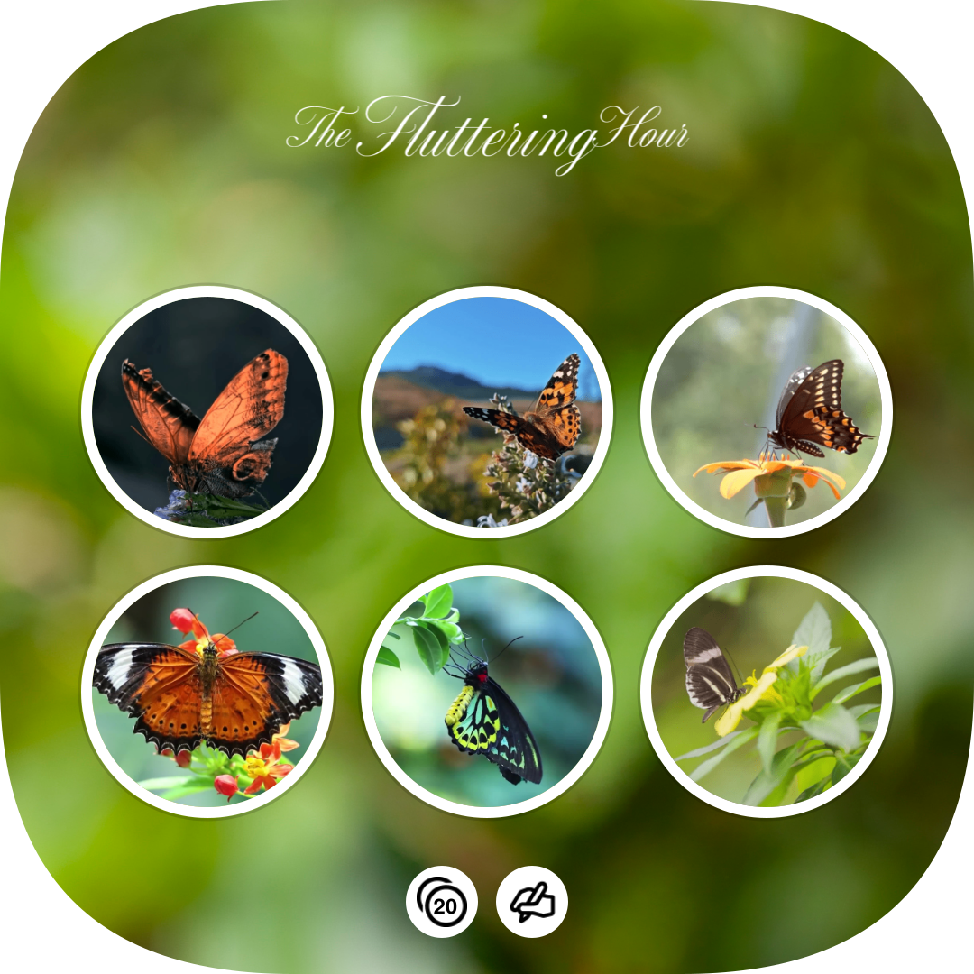 The Fluttering Hour - Generated Thumbnail