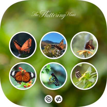 The Fluttering Hour - Generated Thumbnail