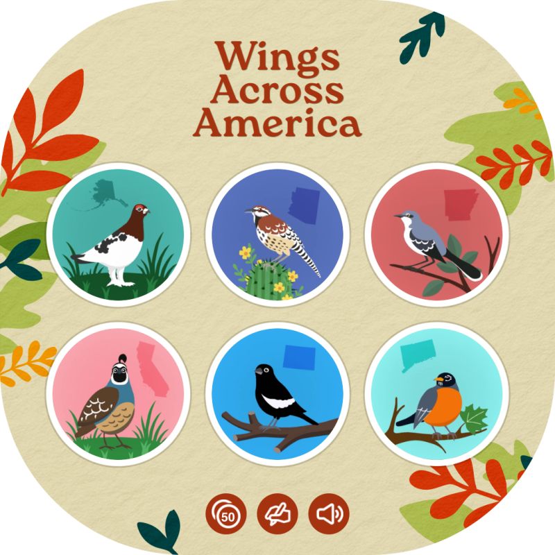 Wings Across America - Generated Thumbnail