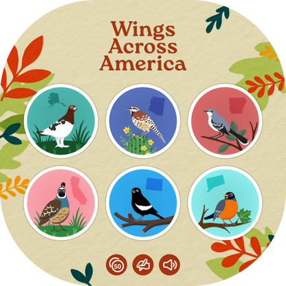 Wings Across America - Generated Thumbnail