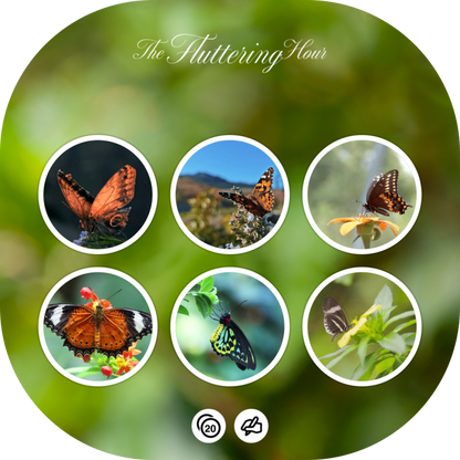 The Fluttering Hour - Generated Thumbnail