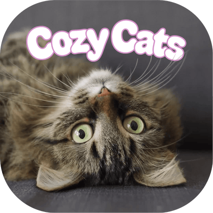 Cozy Cats - Cover Image