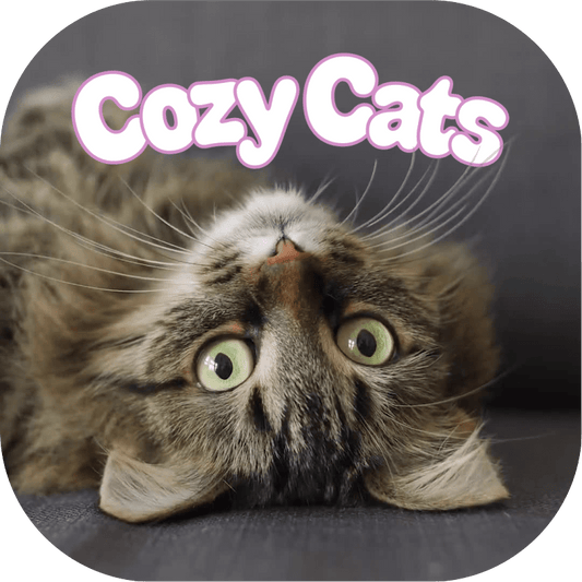 Cozy Cats - Cover Image