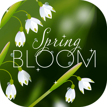Spring Bloom - Cover Image