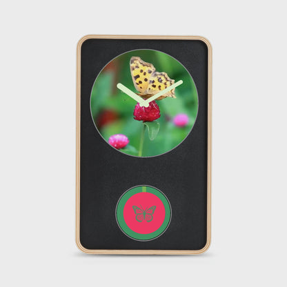 Collection Video Preview