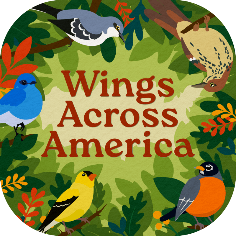 Wings Across America - Cover Image
