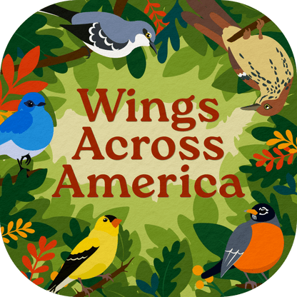 Wings Across America - Cover Image