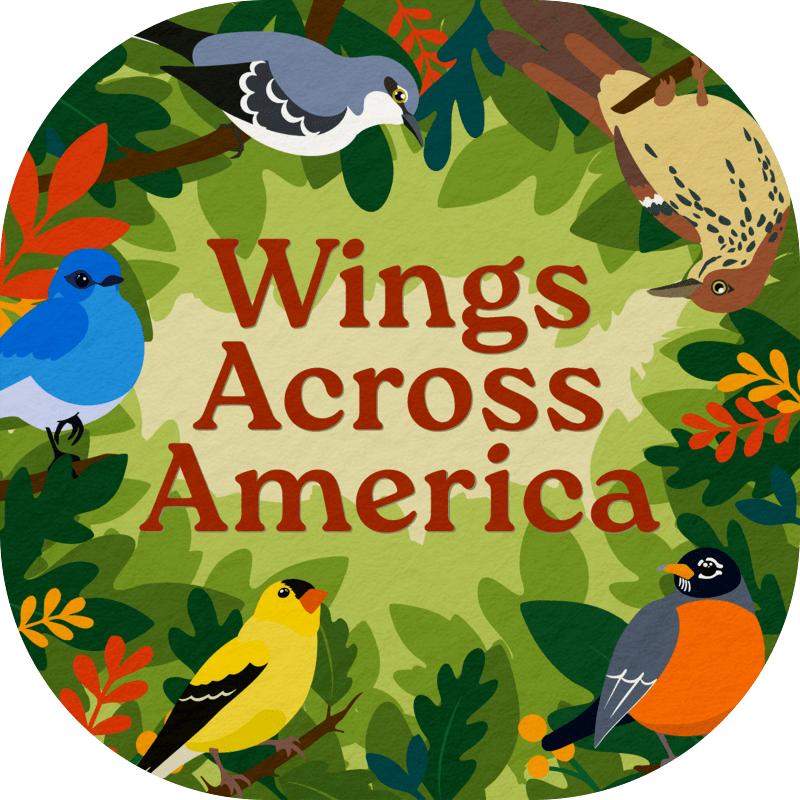 Wings Across America - Cover Image