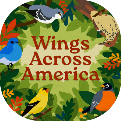 Wings Across America