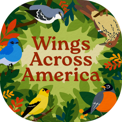 Wings Across America - Cover Image